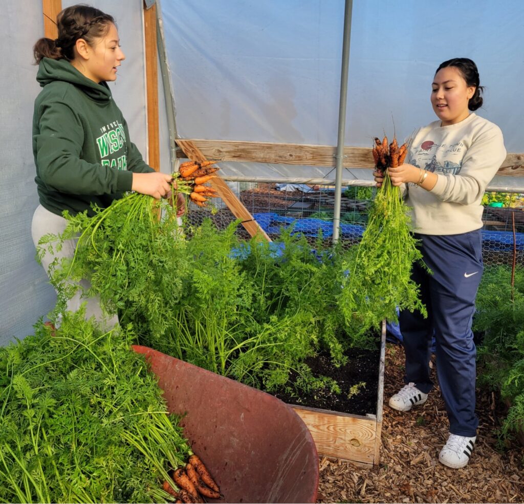 Photo of UW-Parkside Community Garden