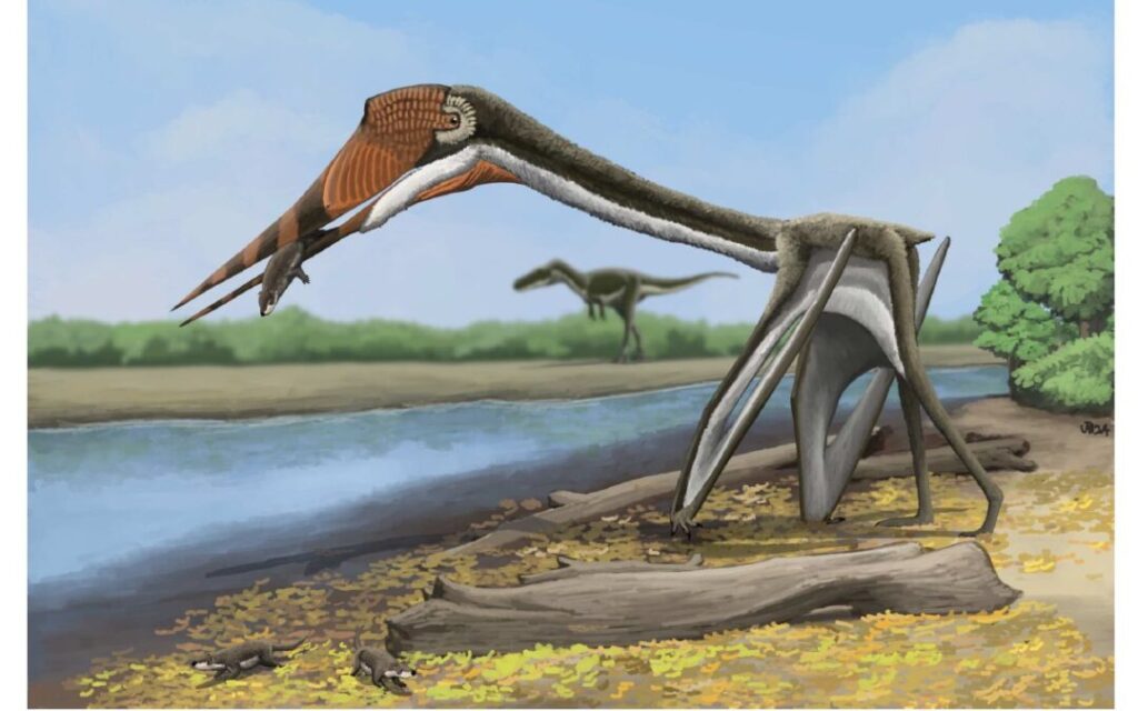 Photo of a rendering of a speculative life restoration of the Infernodrakon hastocollis dinosaur as it is foraging. (Illustration by Jun-Hyeok Jang as it appeared in a recent edition of the Journal of Vertebrate Paleontology.)