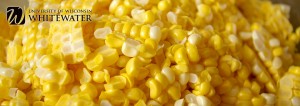 Sweet corn boosts state economy by nearly $130 million, study finds
