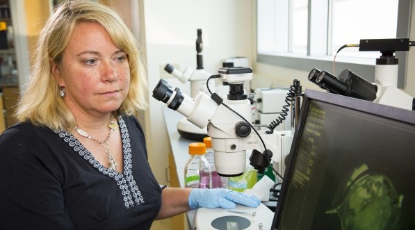 UW-Milwaukee lands share of $20 million NSF grant to help make safer nanoparticles