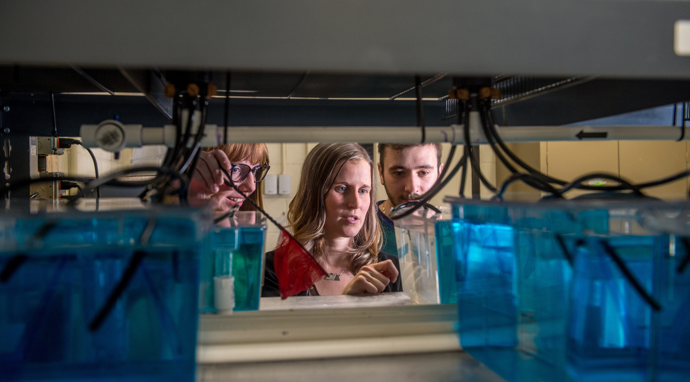 Cancer research project provides UW-Superior students with hands-on experience