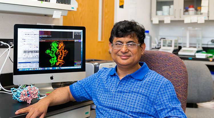 UW-Milwaukee researcher details how cells maintain protein balance that fends off disease