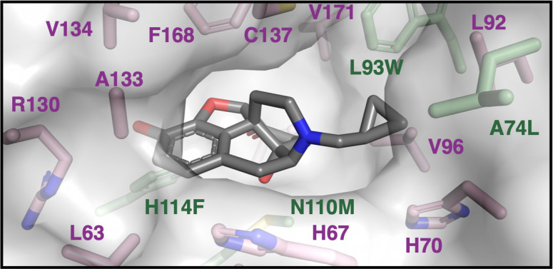 New tool makes quick health, environmental monitoring possible